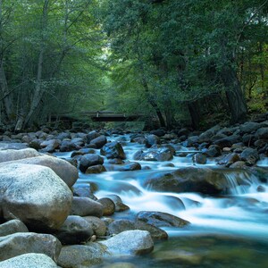 May include: A tranquil stream flows through a lush forest, with a wooden bridge spanning the water. The water is clear and blue, and the rocks on the riverbed are smooth and gray. The trees are green and leafy, and the air is fresh and clean.