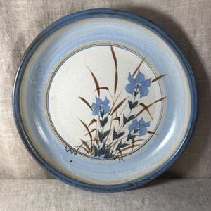 Könnte beinhalten: Ein runder Keramikt runder Keramikteller mit gesprenkelter, cremeweißer Mitte und einem handgemalten Motiv aus blauen Blumen und braunen Grashalmen. Der Teller hat einen breiten, hellblauen Rand mit dunkelblauer Kante und einem dünnen beigen Streifen.