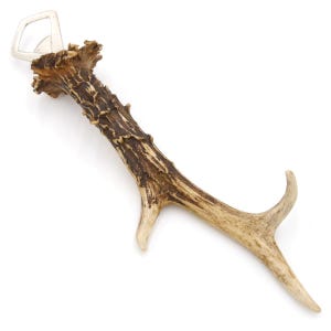 Peut inclure: Un ouvre-bouteille rustique fabriqué à partir d'une ramure naturelle, avec un ouvre-bouteille en métal argenté. La ramure présente des teintes marron et beige, avec une surface texturée et une forme incurvée. Un accessoire de bar unique.