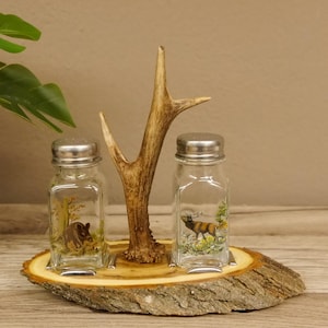 Könnte beinhalten: Ein rustikales Salz- und Pfefferstreuer-Set. Das Set enthält zwei klare Glasstreuer mit silbernen Deckeln, die jeweils eine Wildtierszene zeigen. Die Streuer stehen auf einem Holzsockel mit einem dekorativen Geweih in der Mitte.