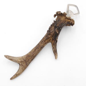 Peut inclure: Un ouvre-bouteille rustique avec un manche en bois de cerf naturel et un ouvre-bouteille en métal argenté. Le bois de cerf est brun clair avec une surface texturée. L'ouvre-bouteille est conçu pour une utilisation facile.