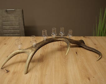 Proveedor de aguardiente de cuernos de ciervo rojo, 6 copas de tallo • Regalo • Idea • Copas de aguardiente Schnapps GTK27.60.2.93