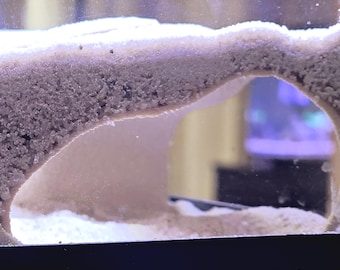 3D Printed Aquarium Cave: PLA Fish Hideout, Reef Safe