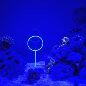Betta Training Ring: 3D Printed Fish Tank Decoration