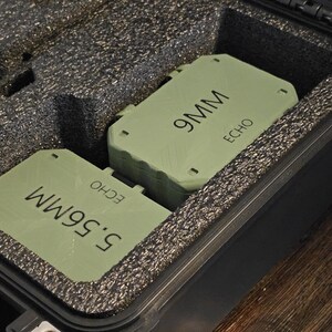 K&ouml;nnte beinhalten: Ein schwarzer Koffer mit Schaumstoffeinlagen enth&auml;lt zwei gr&uuml;ne rechteckige Beh&auml;lter. Einer ist mit "5.56MM ECHO" beschriftet, der andere mit "9MM ECHO". Der Koffer ist ge&ouml;ffnet und zeigt den Inhalt.