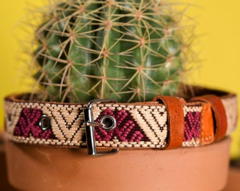 May include: A woven dog collar with a geometric pattern in beige, burgundy, and orange, featuring a brown leather strap and a silver-colored metal buckle. The collar is around a potted cactus, with a yellow background.