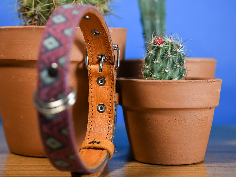 Artisanal leather dog collar handcrafted by Mexican artisans using Aztec techniques. This Western dog collar features genuine leather, intricate embroidery, stainless steel D-rings, and inner padding. Perfect for small, medium, and large dogs.