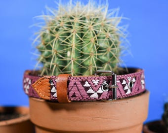 May include: A decorative dog collar with a woven pattern in shades of burgundy and white, featuring a brown leather accent and a silver-colored metal buckle. The collar is wrapped around a terracotta pot with a cactus inside, set against a blue background.