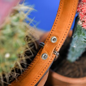 Artisanal leather dog collar handcrafted by Mexican artisans using Aztec techniques. This Western dog collar features genuine leather, intricate embroidery, stainless steel D-rings, and inner padding. Perfect for small, medium, and large dogs.