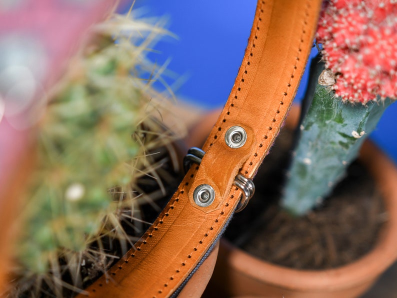 Artisanal leather dog collar handcrafted by Mexican artisans using Aztec techniques. This Western dog collar features genuine leather, intricate embroidery, stainless steel D-rings, and inner padding. Perfect for small, medium, and large dogs.