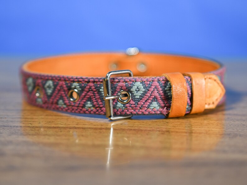 Artisanal leather dog collar handcrafted by Mexican artisans using Aztec techniques. This Western dog collar features genuine leather, intricate embroidery, stainless steel D-rings, and inner padding. Perfect for small, medium, and large dogs.