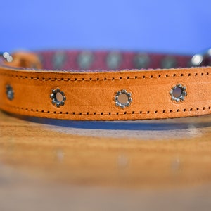 Artisanal leather dog collar handcrafted by Mexican artisans using Aztec techniques. This Western dog collar features genuine leather, intricate embroidery, stainless steel D-rings, and inner padding. Perfect for small, medium, and large dogs.