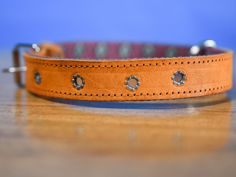 Artisanal leather dog collar handcrafted by Mexican artisans using Aztec techniques. This Western dog collar features genuine leather, intricate embroidery, stainless steel D-rings, and inner padding. Perfect for small, medium, and large dogs.