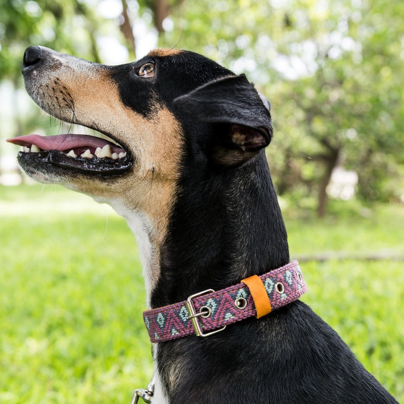 Artisanal leather dog collar handcrafted by Mexican artisans using Aztec techniques. This Western dog collar features genuine leather, intricate embroidery, stainless steel D-rings, and inner padding. Perfect for small, medium, and large dogs.
