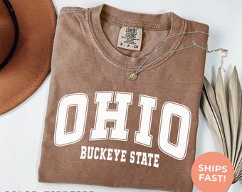 Ohio Comfort Colors T-Shirt: Retro College Tee