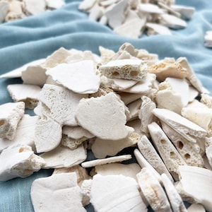 May include: A close-up of a pile of white, irregularly shaped, dried pieces of food on a blue fabric background. The pieces have a porous texture and appear to be brittle.