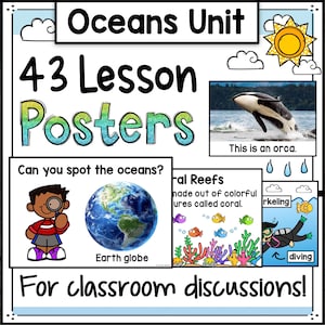 Pósteres del océano 43 diapositivas de lecciones Criaturas marinas Animales SIN PREPARACIÓN Actividades para el aula Preescolar Jardín de infantes Recurso didáctico