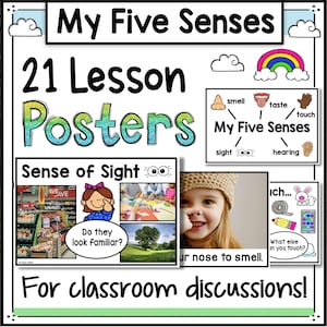 Pósters de los cinco sentidos / Recurso didáctico sin preparación previa / Plan de clase / Actividades para niños / Preescolar y jardín de infancia
