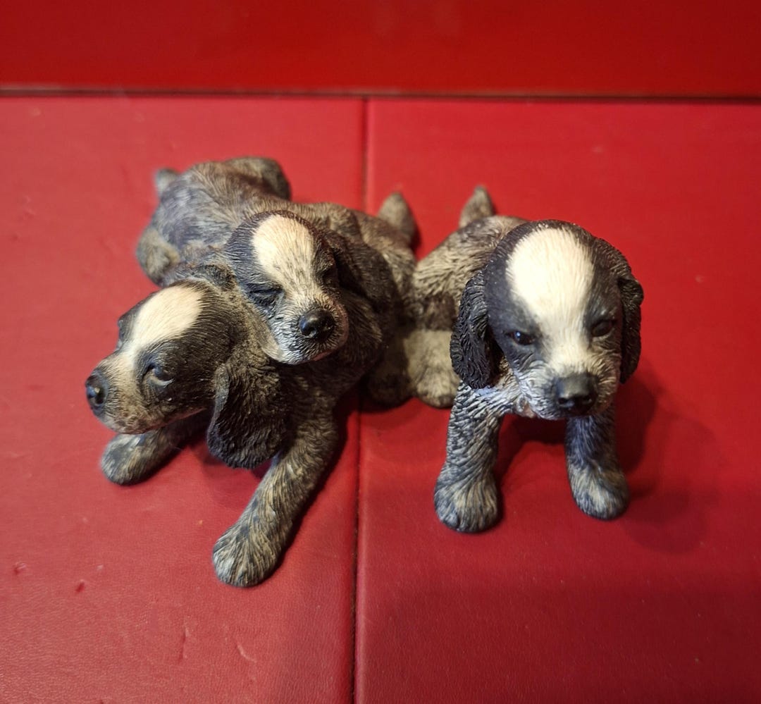 Border Fine Arts, Trio of Cocker Spaniel Pups (beautiful) (FREE Tracked ...