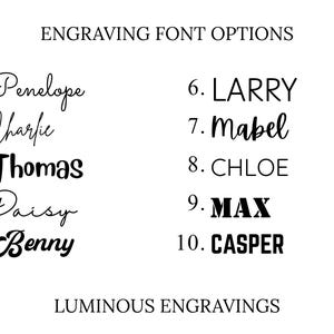 Engraving font options chart for personalized pet ID tags featuring 10 engraving styles, including script, handwritten, modern, bold, and uppercase fonts. Customers can choose from numbered font options for custom laser engraved dog tags, pet name tags, keychains, memorial gifts, and personalized keepsakes by Luminous Engravings.