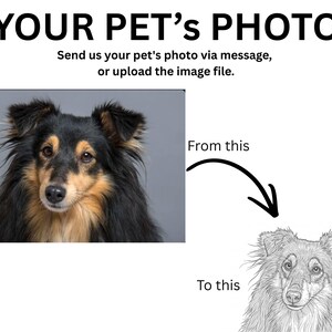 Instructional graphic showing how a customer's pet photo is converted into a custom engraved line-art portrait. The image features the heading "YOUR PET'S PHOTO" with instructions to send or upload a pet photo, a dog photo labeled "From this," and an arrow pointing to a detailed black-and-white engraved-style line drawing labeled "To this," illustrating the personalization process.