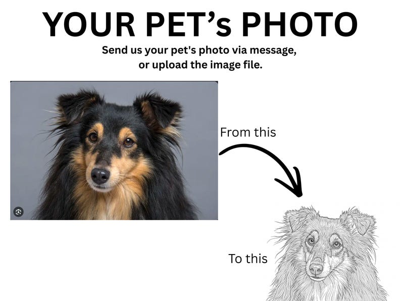 Instructional graphic showing how a customer's pet photo is converted into a custom engraved line-art portrait. The image features the heading "YOUR PET'S PHOTO" with instructions to send or upload a pet photo, a dog photo labeled "From this," and an arrow pointing to a detailed black-and-white engraved-style line drawing labeled "To this," illustrating the personalization process.
