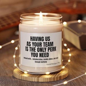 Having us as your team is the only perk Candle,Funny Gift for Team Leader,Funny Gift for Boss,Gift from Employee for Boss,Office Party Gift