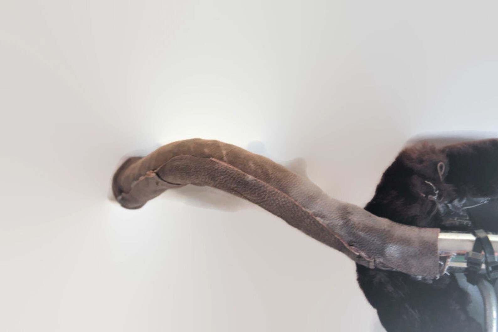 Vintage Handmade Bull Horns Wall Hanging Far West Decoration Etsy