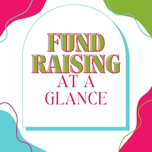 Nonprofit Fundraising at a Glance Tool