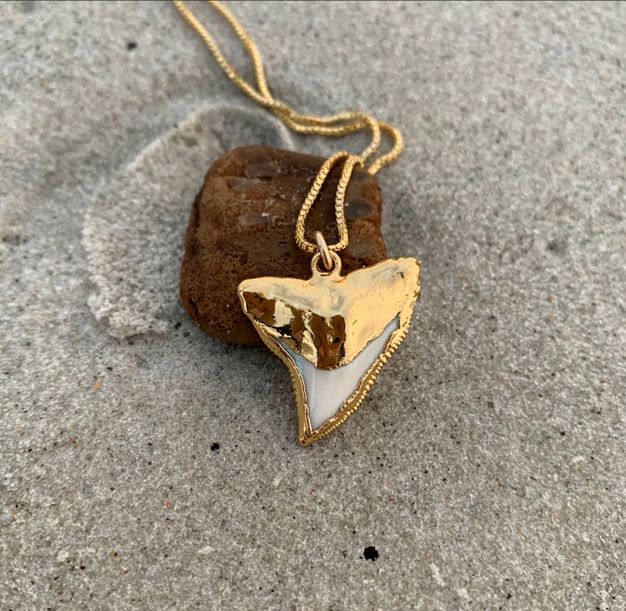 992 Shark Tooth Necklace - Etsy Canada