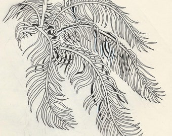 Palm Branches,  pen and ink, drawn & signed by the artist  Only one