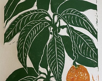 Mango, limited edition linoleum block print, printed and signed in pencil by the artist