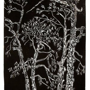 Pines, limited edition, hand printed, hand signed in pencil by the artist, linocut image 1