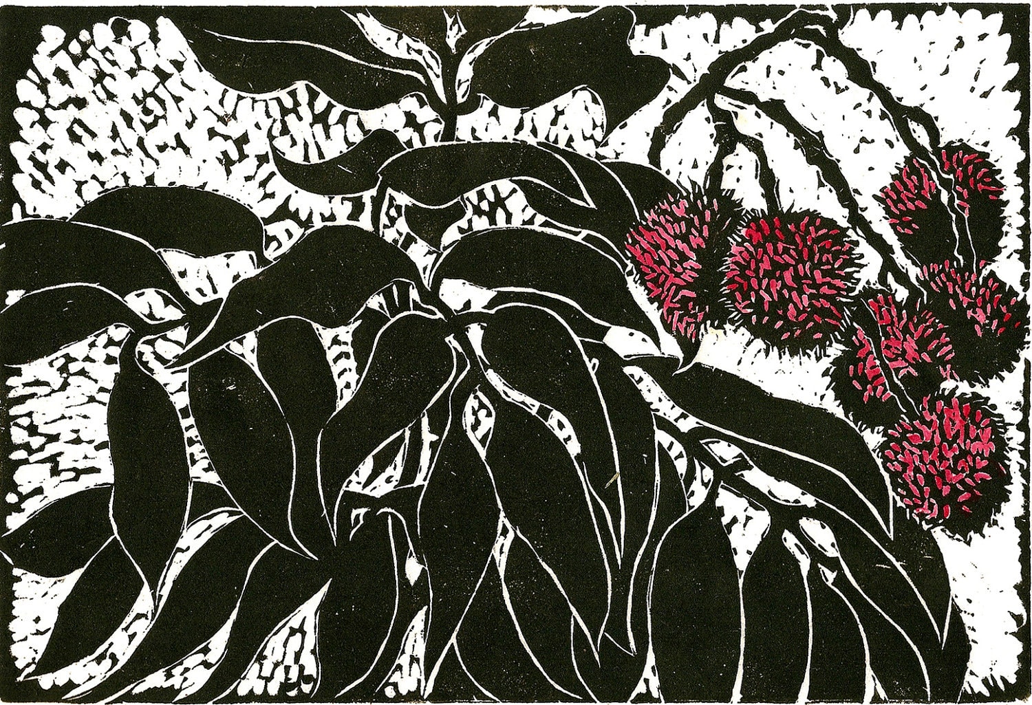 Lychees Limited Edition Linoleum Block Print Printed and | Etsy