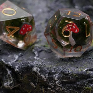 Mushrooms and Moss - Dice Set. Dungeons and dragons, D&D Dice set, Dice Set for Dungeons and Dragons. D20 TTRPG Dice