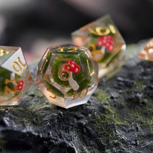 Mushrooms and Moss - Dice Set. Dungeons and dragons, D&D Dice set, Dice Set for Dungeons and Dragons. D20 TTRPG Dice