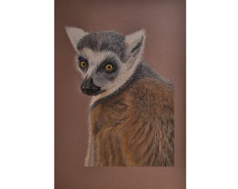 Lemur - Original Pastel Artwork