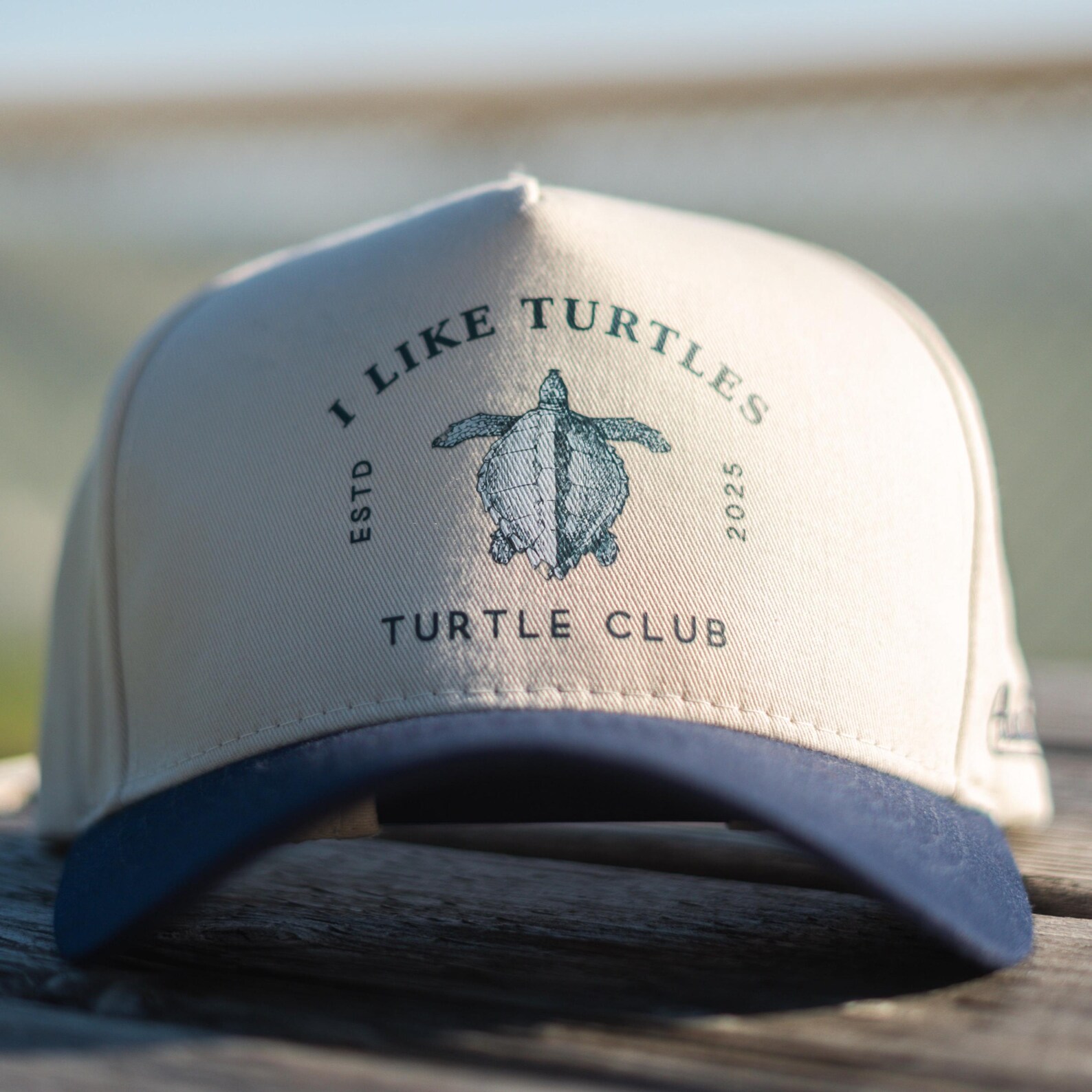 Turtle Club Hat - Embroidered Snapback, Beachy Vibe - Etsy