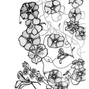 Nasturtium Pointillism Art Print (11x8.5)