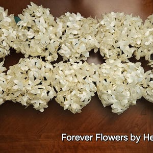 Può includere: Una fila di dieci composizioni floreali di ortensie bianche, ciascuna con una forma rotonda. I fiori sono di seta e sono disposti in un motivo circolare. Il testo "Forever Flowers by Heather" è stampato sotto i fiori.