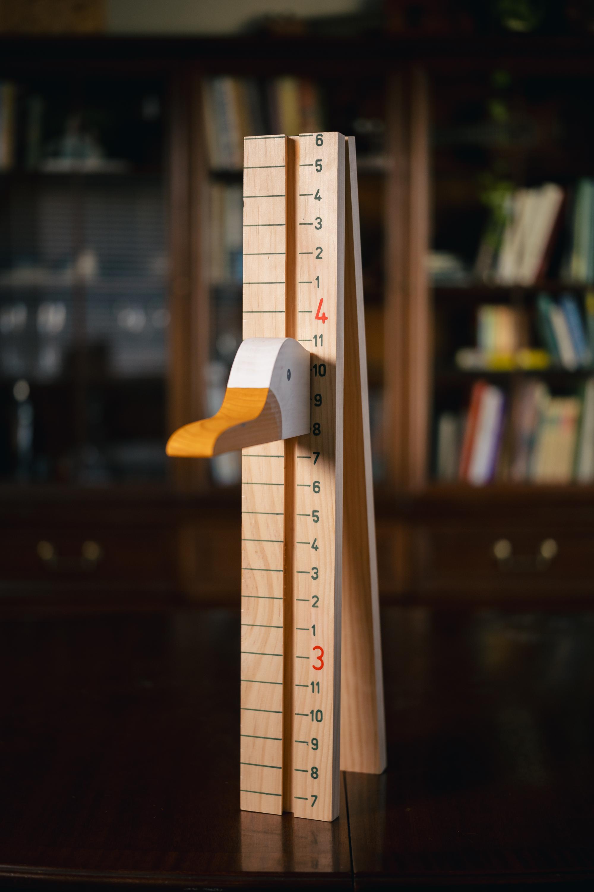 Measuring Boared Measuring Duck | Portable Measuring Board - Etsy