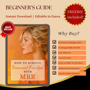 PLR/MRR eBook on Financial Success - Passive Income Blueprint - Master Resell Rights - Entrepreneur Mindset Toolkit