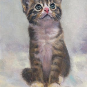 Curious Kitten