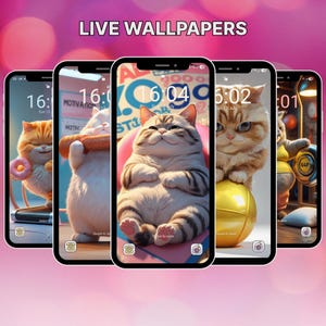 5 Funny Cat Live Phone Wallpaper MP4 & JPG for Android | Cute Animal Pets Home Screen and Lock Screen Background