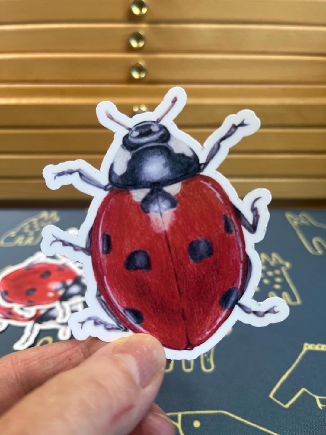 Ladybug Stickers - Waterproof Vinyl Decal - Hand Drawn Insect Art - Etsy