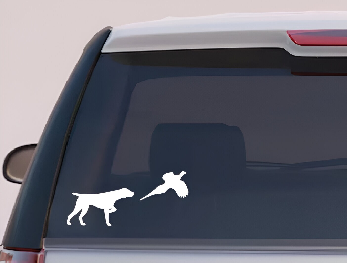 German Shorthaired Pointer Urination Problems – JCDAT