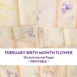 Páginas de diario desgastadas con iris, estilo shabby chic, flores del mes de nacimiento de febrero, flores de iris, álbum de recortes, páginas de collage, papel para manualidades