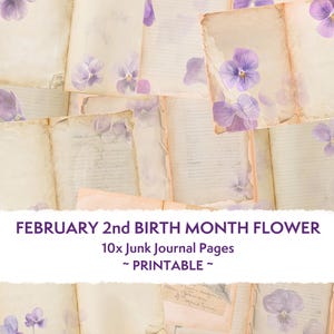 Páginas de diário de lixo violeta desgastadas, chique gasto, flor do mês de nascimento de fevereiro, flores violetas, álbum de recortes, páginas de colagem, papel artesanal