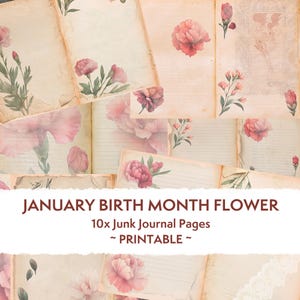 Páginas de diario desgastadas con claveles, estilo shabby chic, flores del mes de nacimiento de enero, flores de clavel, álbum de recortes, páginas de collage, papel para manualidades