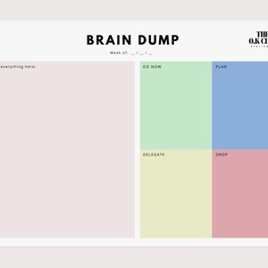 May include: A white Brain Dump planner with the text "Brain Dump" in bold black letters. The planner has sections labeled "Dump everything here," "Do Now," "Plan," "Delegate," and "Drop."
